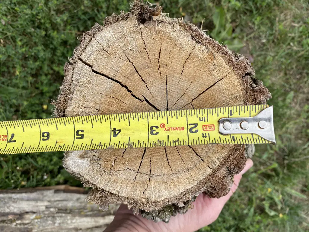 Measuring the end of a round piece of firewood, 6" in diameter