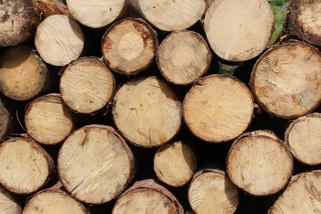 Round ends of a stack of firewood