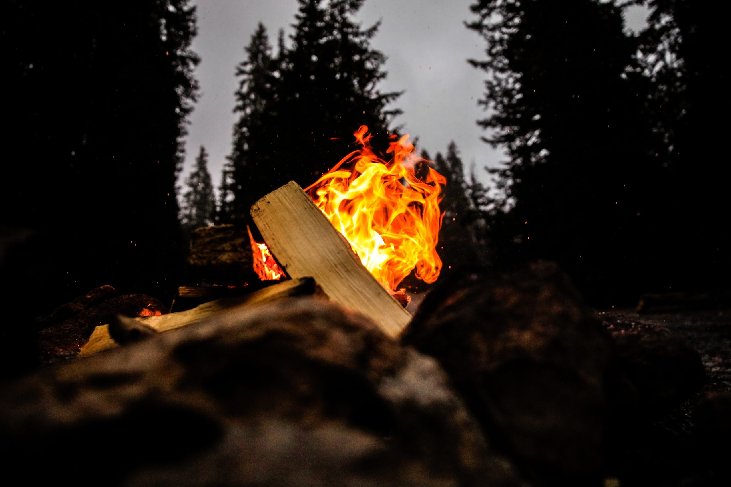 Burning campfire in the woods